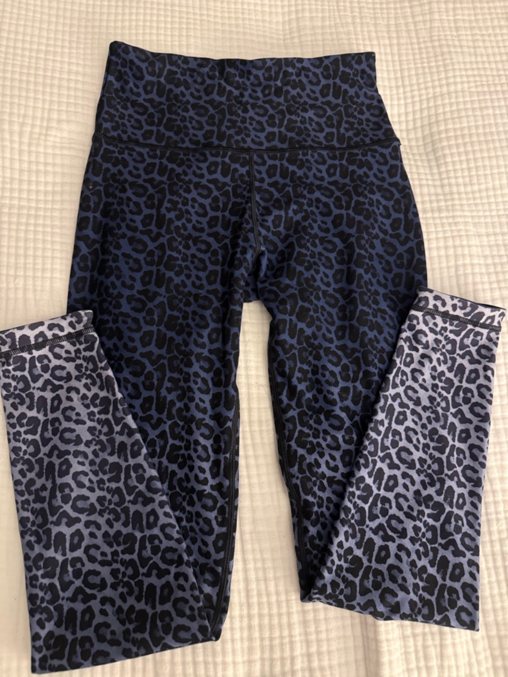Animal Print High-Waist Leggings - Navy/Black